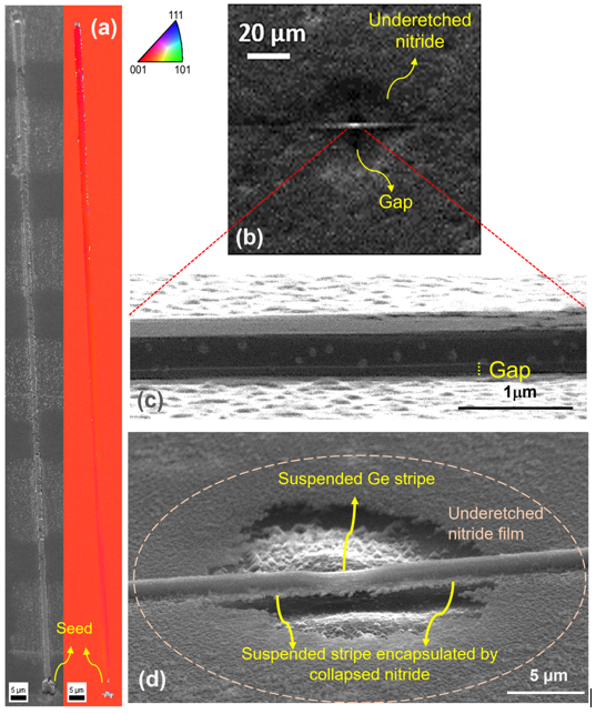 Mezunumuz ve öğretim üyemizin ortak çalışmasından yüksek etki faktörlü araştırma sonuçları